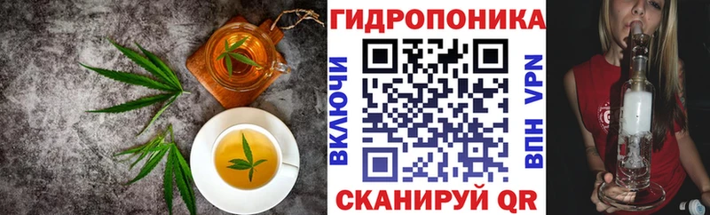 где найти   площадка как зайти  Canna-Cookies конопля  Дивногорск 