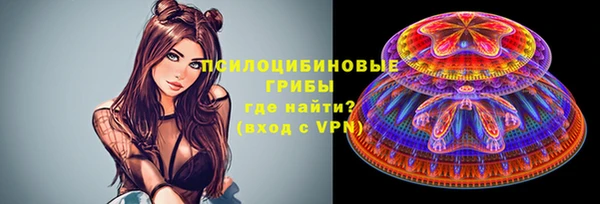 сатива Горнозаводск