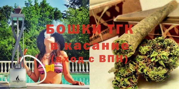 сатива Горнозаводск