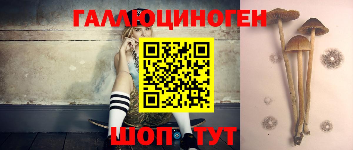 наркошоп  Вход с VPN  Дивногорск  Галлюциногенные грибы MAGIC MUSHROOMS 